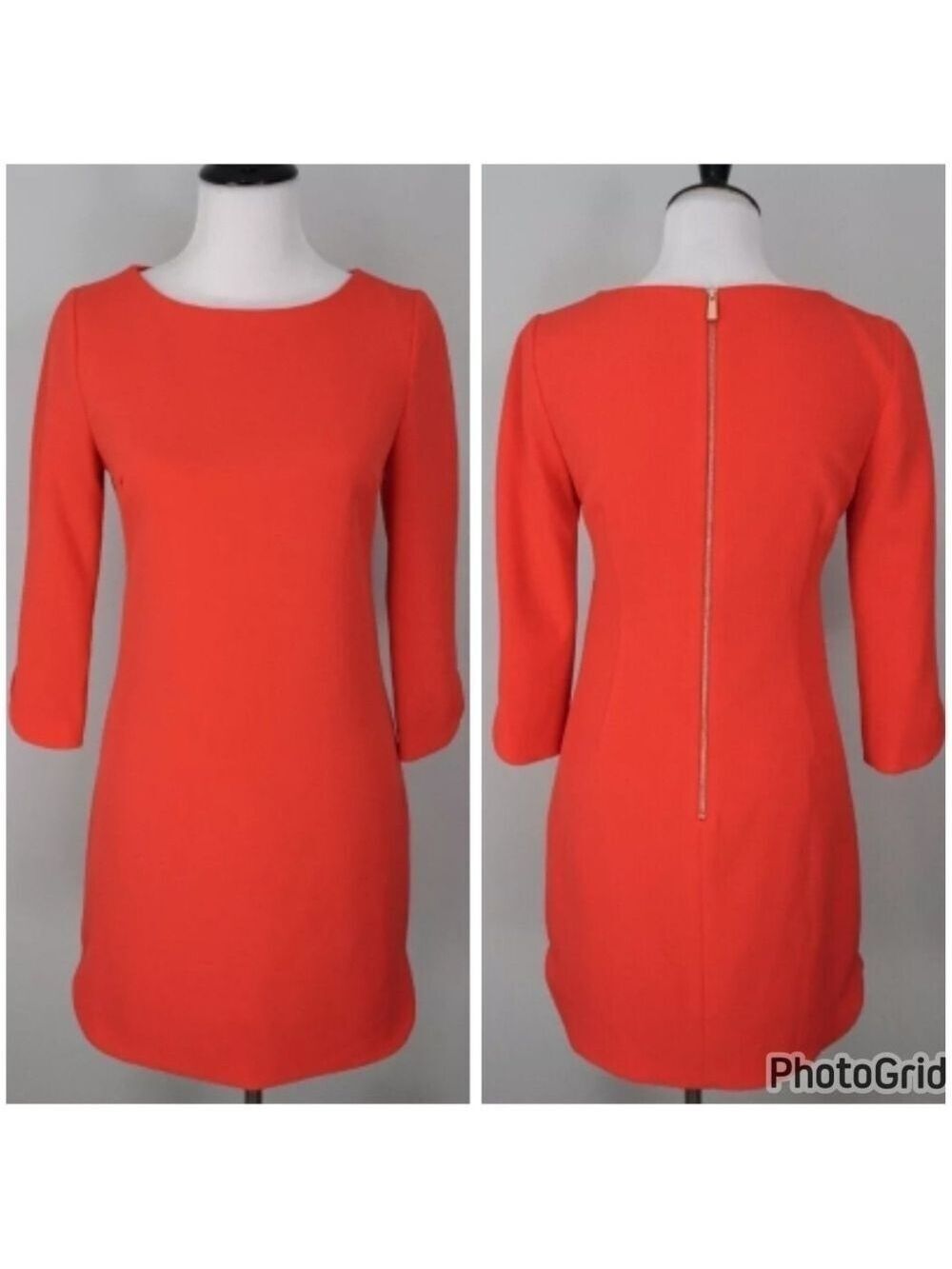 VINCE CAMUTO ORANGE SCALLOP SLEEVE SHIFT DRESS SIZE 8- LIKE NEW!